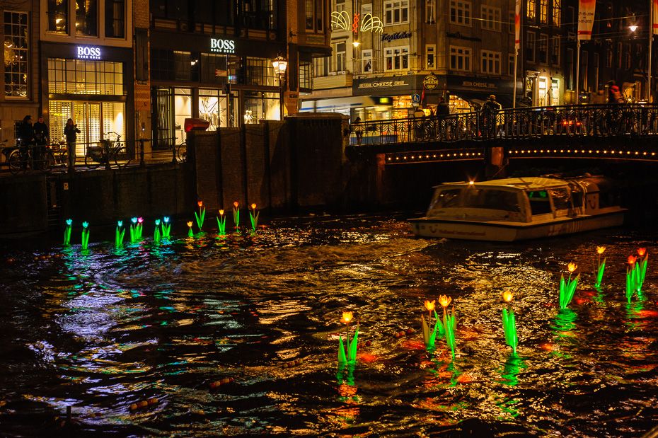 CC Proof cliënt ontwierp deze tulpen voor het Amsterdam Light Festival.